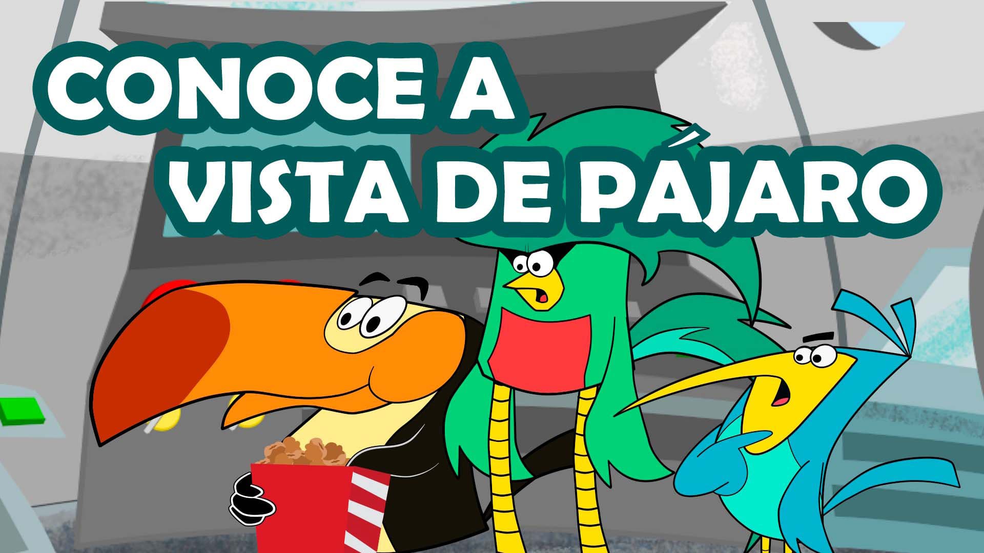 Conoce a vista de pájaro