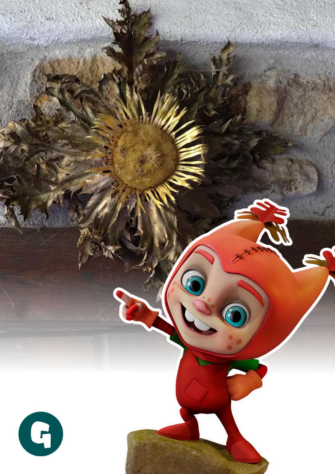 En busca de la flor eguzkilore