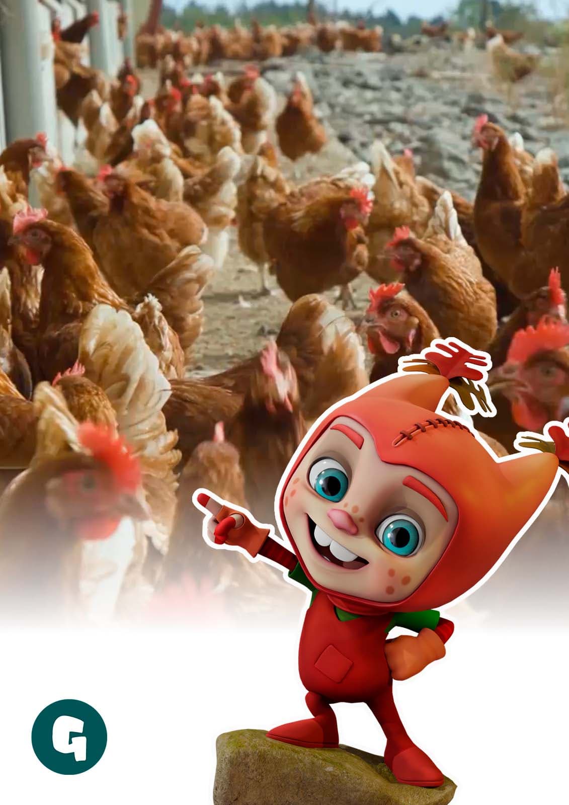 La granja de gallinas