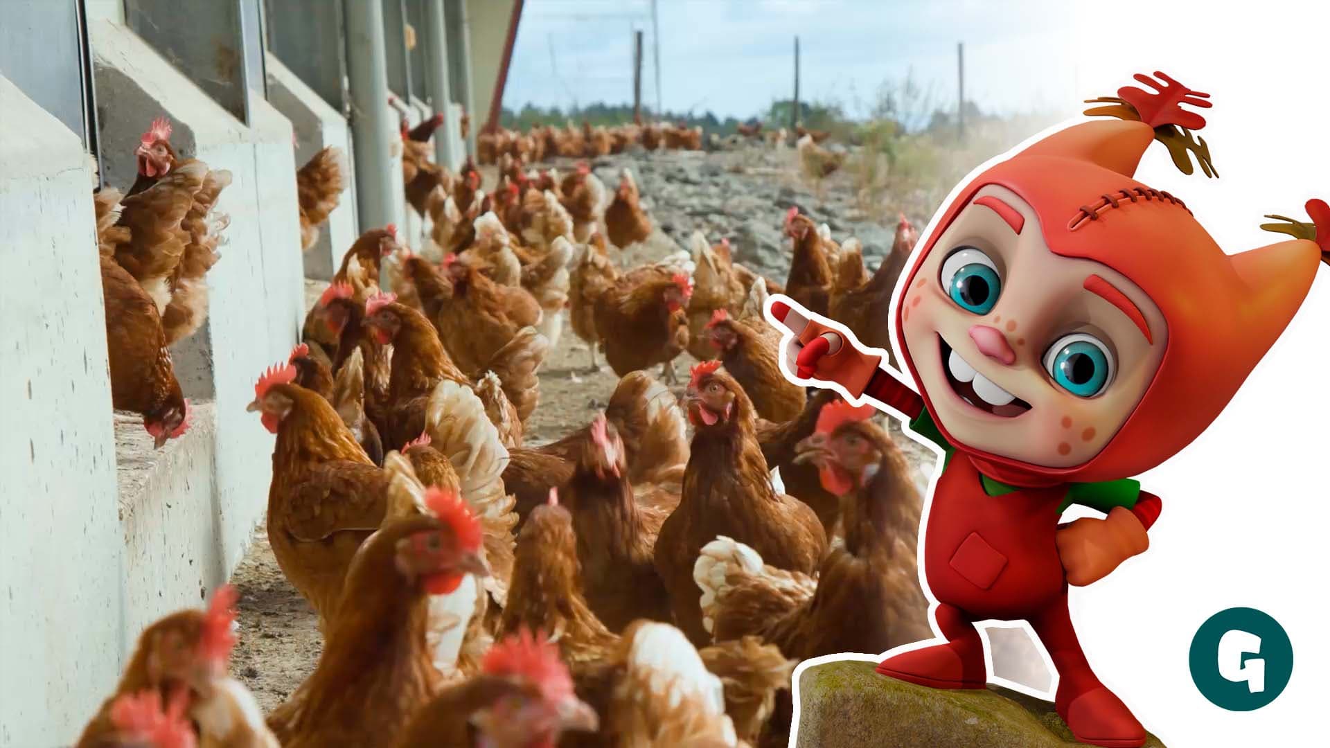 La granja de gallinas