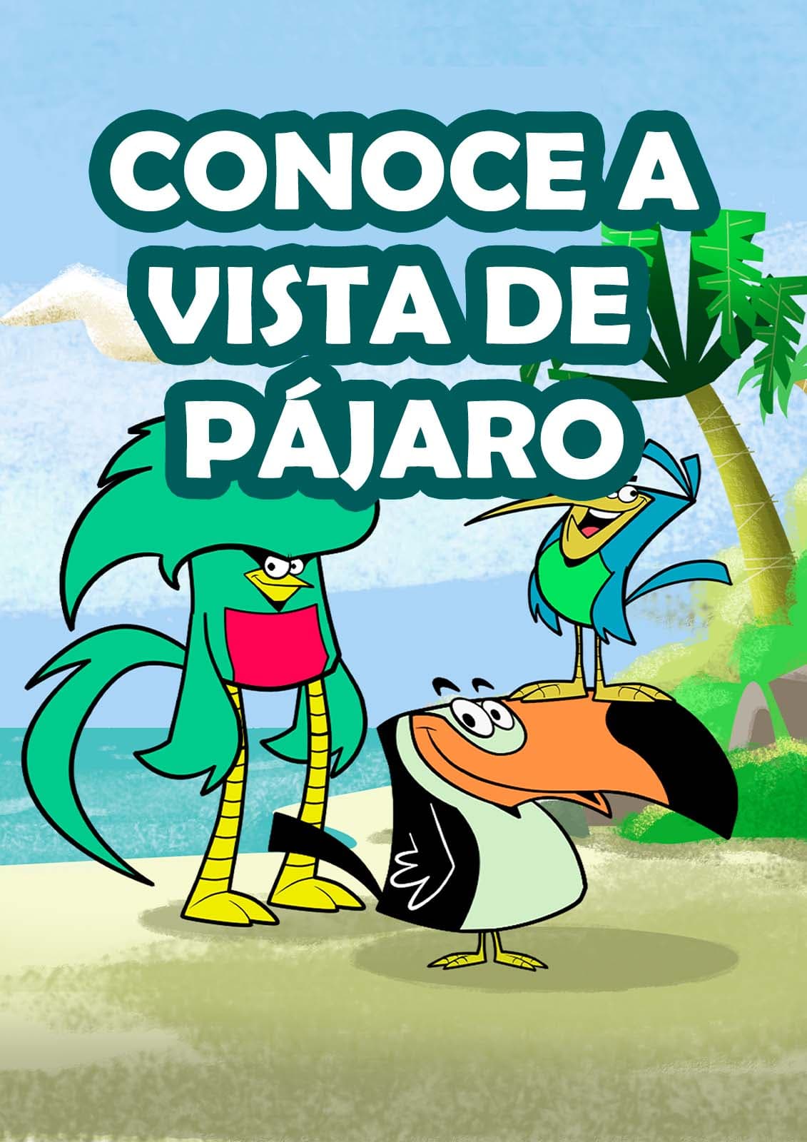 Conoce a vista de pájaro