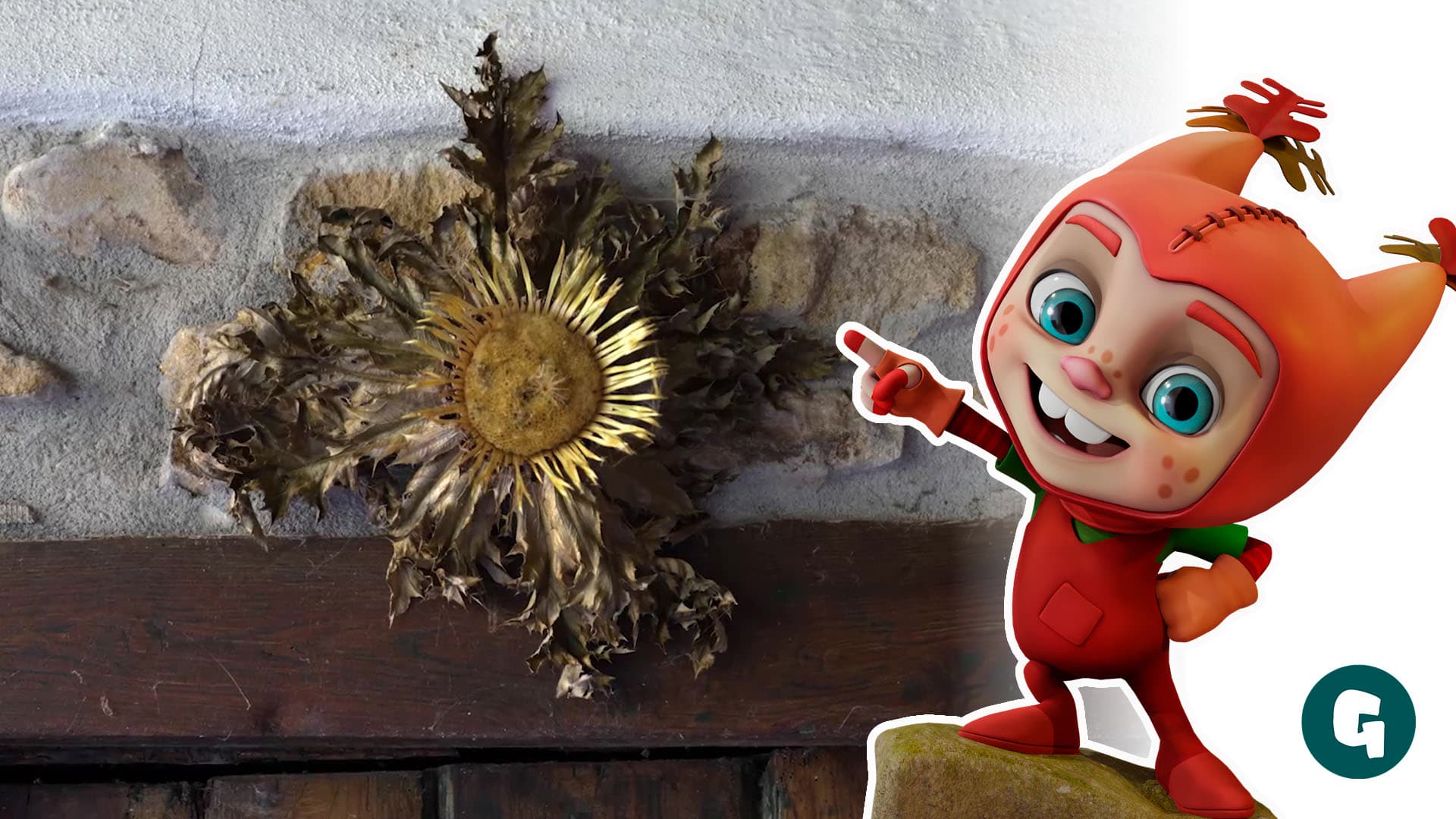 En busca de la flor eguzkilore